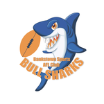 Current bull shark logo