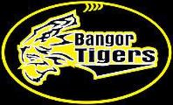 Tigers logo