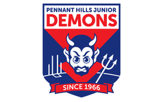 Phjdafc logo 2016 rgb 18