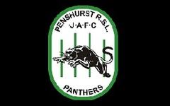 Panthers logo2